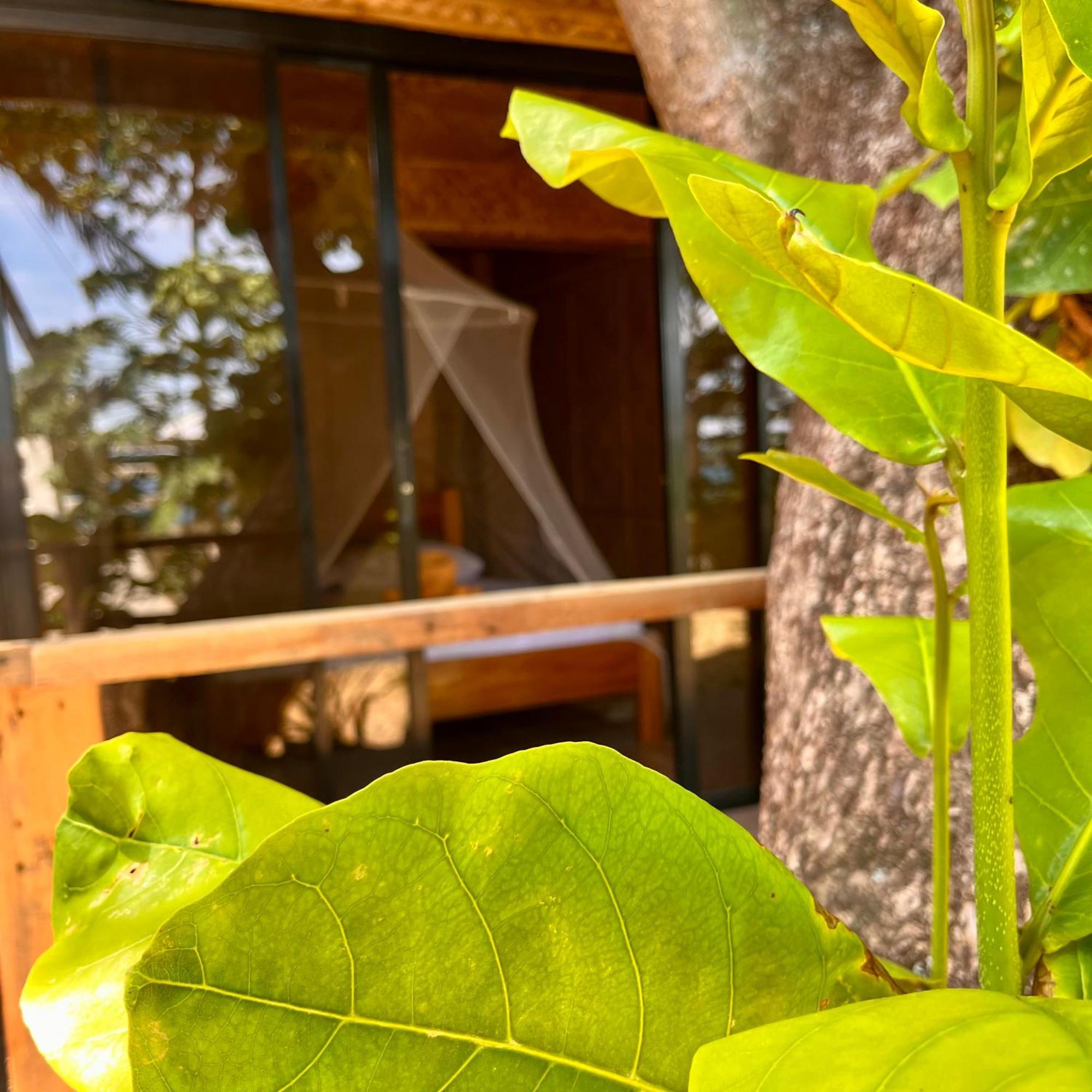 Amami Beachfront Villa With Private Beach Puerto Galera Exterior photo